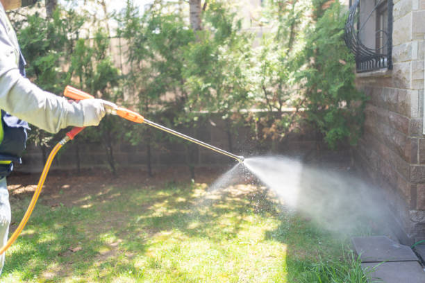 Lawn Pest Control in Oneonta, NY